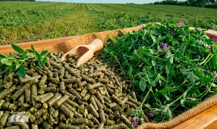 Травяные гранулы: готовый продукт с умом